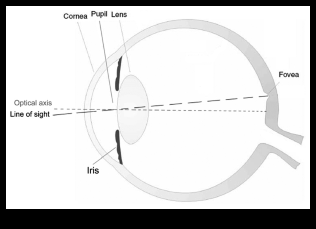 Focus Frontier: Πιέζοντας τα όρια με φακούς τελευταίας τεχνολογίας