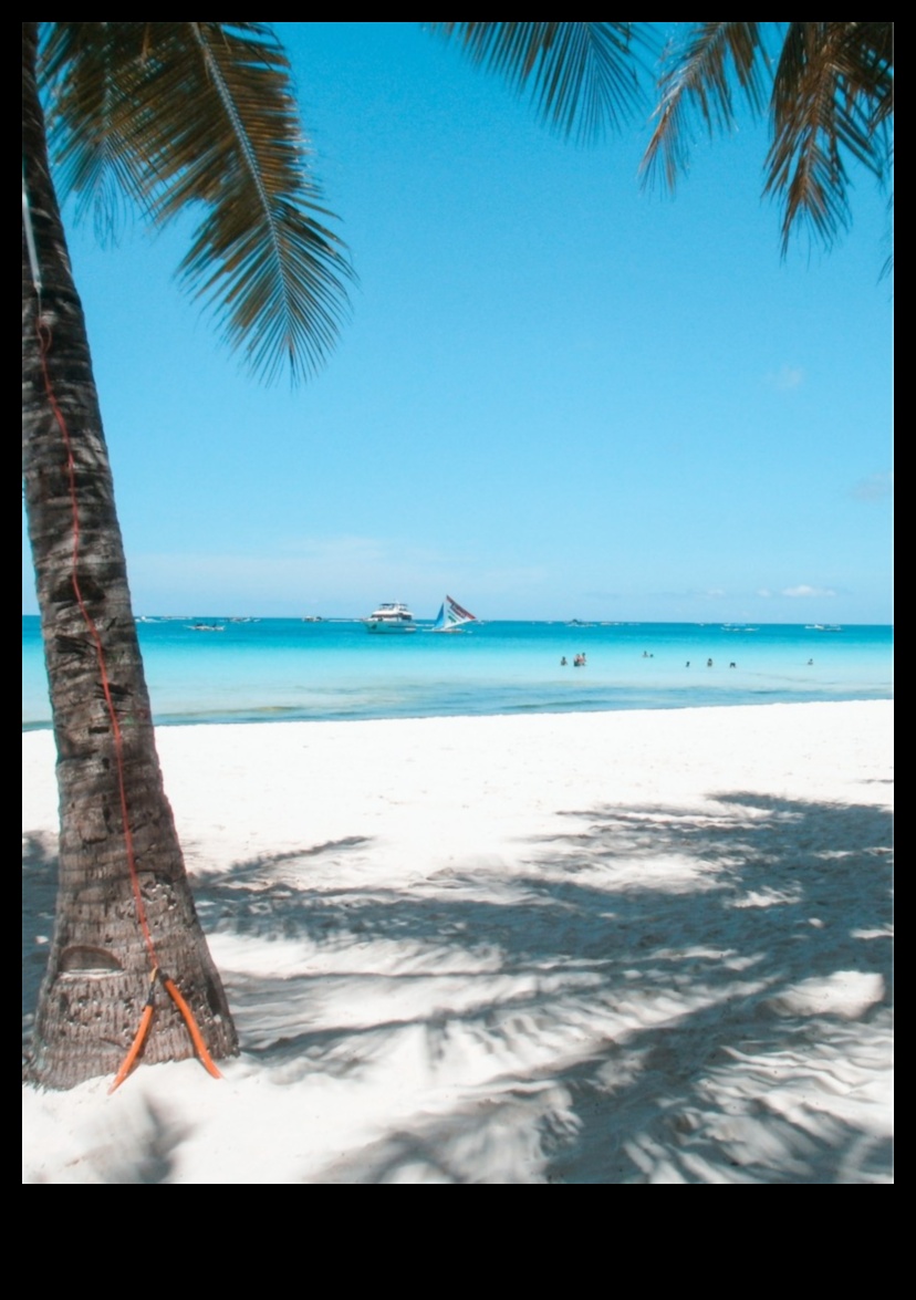 Τροπική ηρεμία Πώς να αποτυπώσετε την αιθέρια ομορφιά του νησιωτικού παραδείσου 2 Τροπική ηρεμία: Τεχνικές για τη σύλληψη του παραδείσου του νησιού