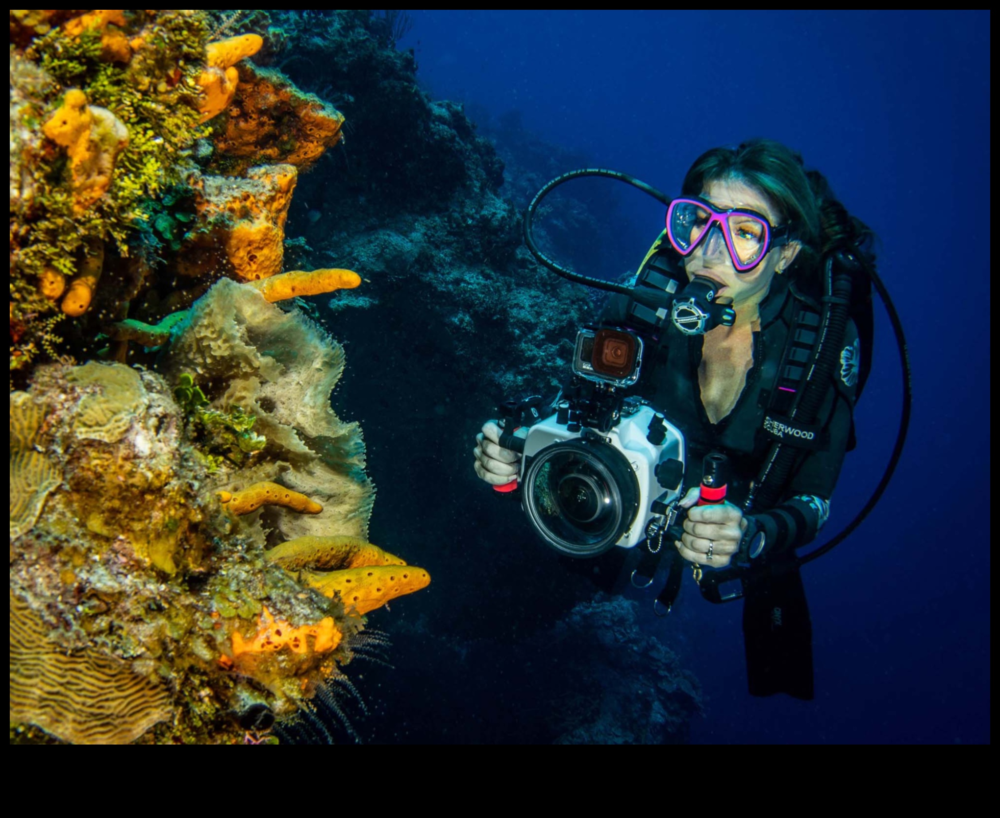 Υποβρύχια θαύματα Βουτήξτε στις προηγμένες τεχνικές της υδάτινης φωτογραφίας 5 Υποβρύχια Θαύματα: Βουτήξτε σε προηγμένες τεχνικές υδάτινης φωτογραφίας