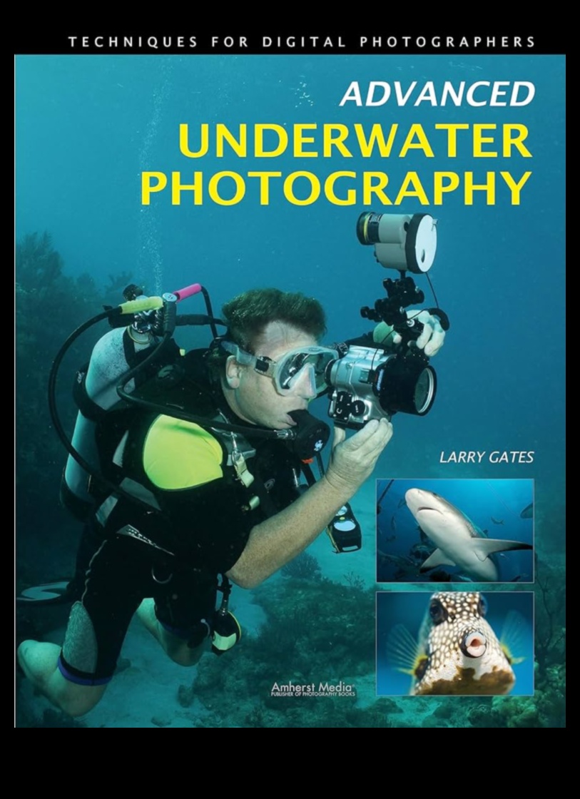 Υποβρύχια θαύματα Βουτήξτε στις προηγμένες τεχνικές της υδάτινης φωτογραφίας 3 Υποβρύχια Θαύματα: Βουτήξτε σε προηγμένες τεχνικές υδάτινης φωτογραφίας