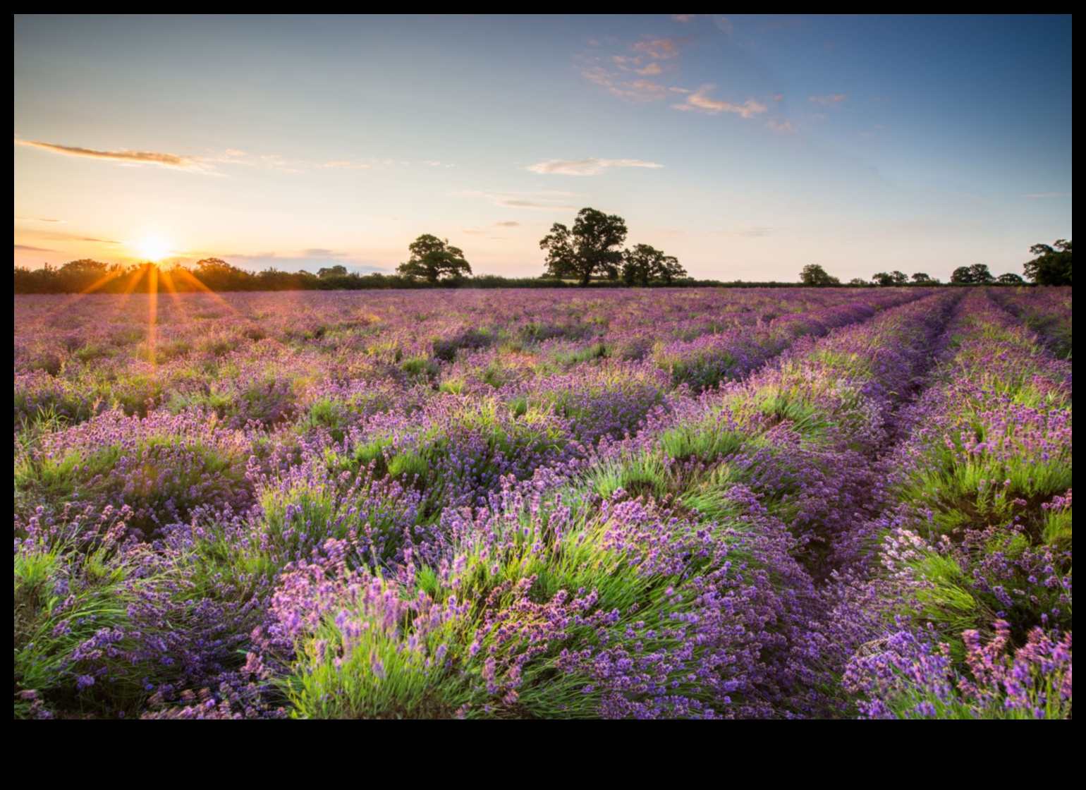 Εστίαση στο Brilliance: Βασικές συμβουλές για εκπληκτικές φωτογραφίες