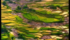 Landscapes Lived: A Sightseer's Chronicles of Beauty