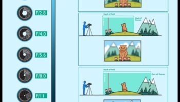 Aperture Aces: Αναβαθμίστε την τέχνη σας μέσω της ολοκληρωμένης εκπαίδευσης φωτογραφίας