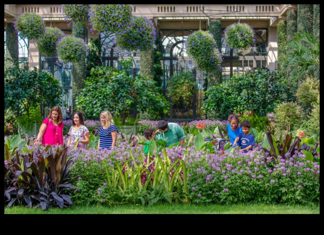 Backyard Beauty: A Local Attractions Garden of Delights