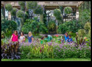 Backyard Beauty: A Local Attractions Garden of Delights