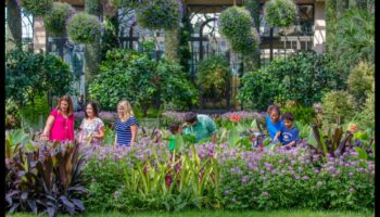 Backyard Beauty: A Local Attractions Garden of Delights