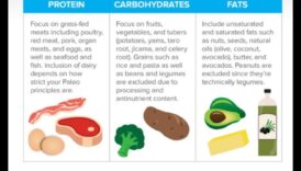 Paleo Diet Χτίζει Μυϊκός ιστός Τελικά 5 Μπορείτε να χτίσετε μυς σε μια παλαιολιθική δίαιτα;