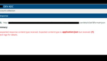 Βιγκανισμός και Επίπεδα Ενέργειας: Ευδοκιμεί με την ισχύ των φυτών