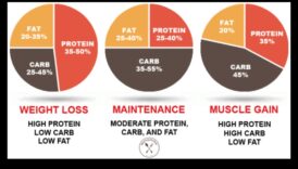 Κατανόηση των μακροθρεπτικών συστατικών σε μια επιτυχημένη δίαιτα χαμηλών λιπαρών