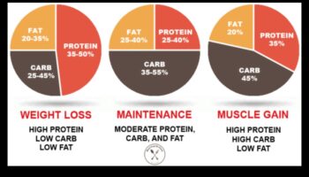 Κατανόηση των μακροθρεπτικών συστατικών σε μια επιτυχημένη δίαιτα χαμηλών λιπαρών