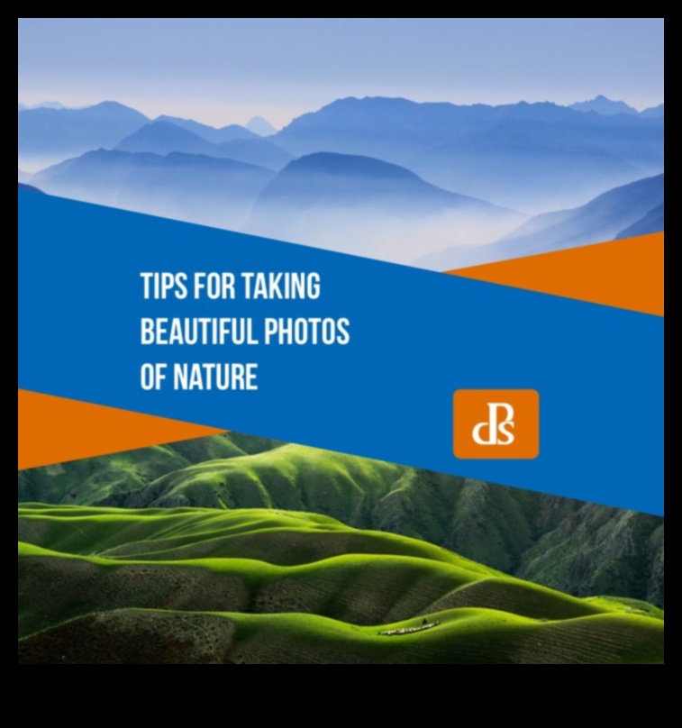 Εστίαση στο Brilliance: Βασικές συμβουλές για εκπληκτικές φωτογραφίες