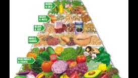 Χορτοφάγος Ένας υγιεινός τρόπος ζωής 1 Εξερευνώντας τις βραχυπρόθεσμες δίαιτες για χορτοφάγους και βίγκαν