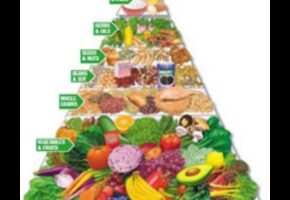 Εξερευνώντας τις βραχυπρόθεσμες δίαιτες για χορτοφάγους και βίγκαν